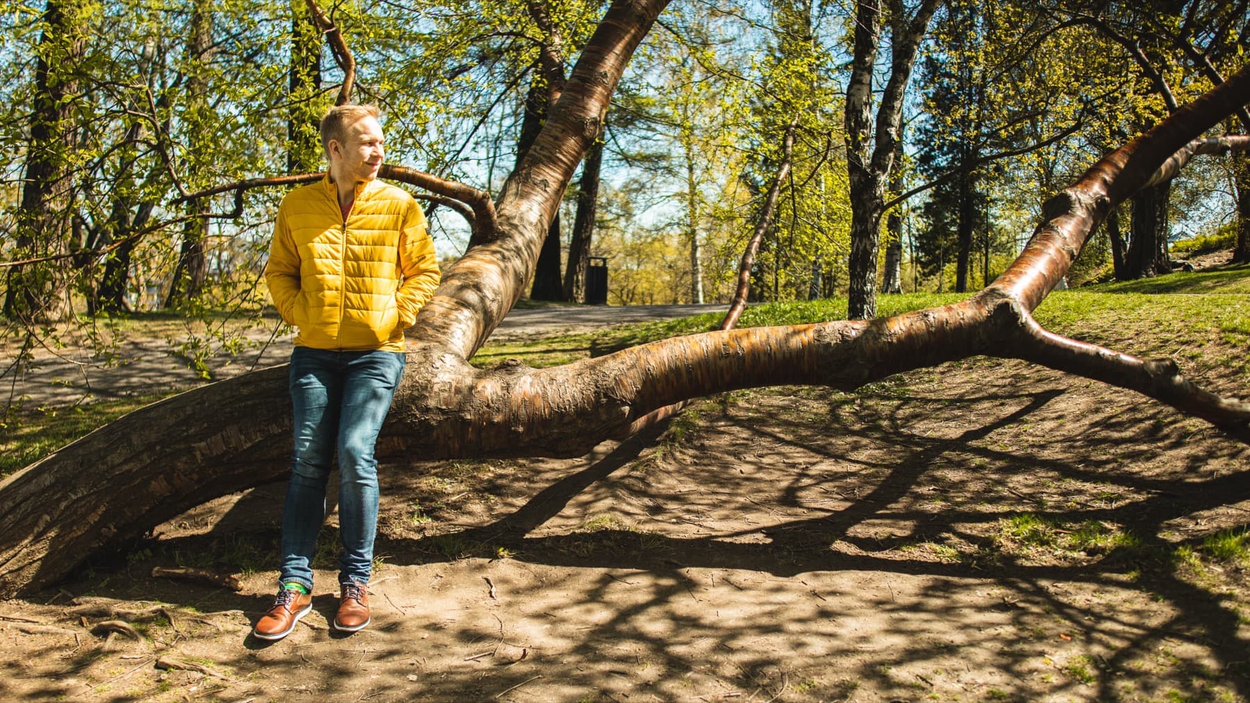 Jaakko Lahtinen keltaisessa takissa kaatuneen puun vieressä Näsijärven rannassa Tampereella